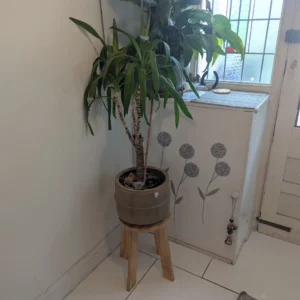 modular wooden stool UK