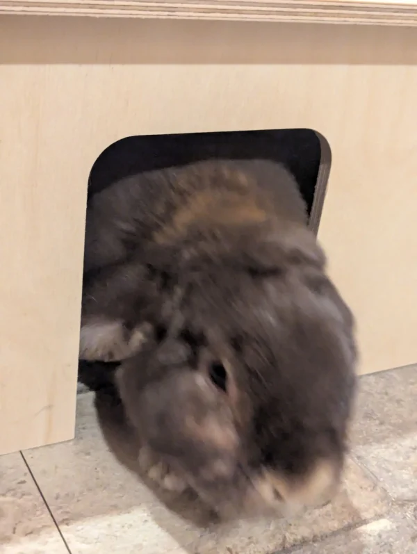 Cozy Rabbit Hideaway with Cooling & Heating Chamber – Modular & UK Made - Image 17