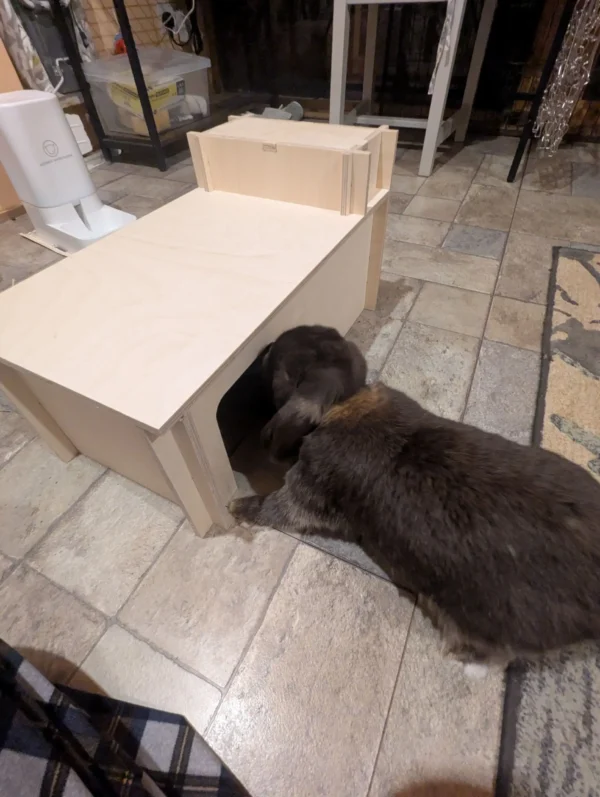 Cozy Rabbit Hideaway with Cooling & Heating Chamber – Modular & UK Made - Image 18